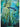 Painting of a shark swimming through giant kelp. Light beams shine through the underwater scene.