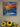 Framed painting of a seascape at sunset hanging above sunflowers. 